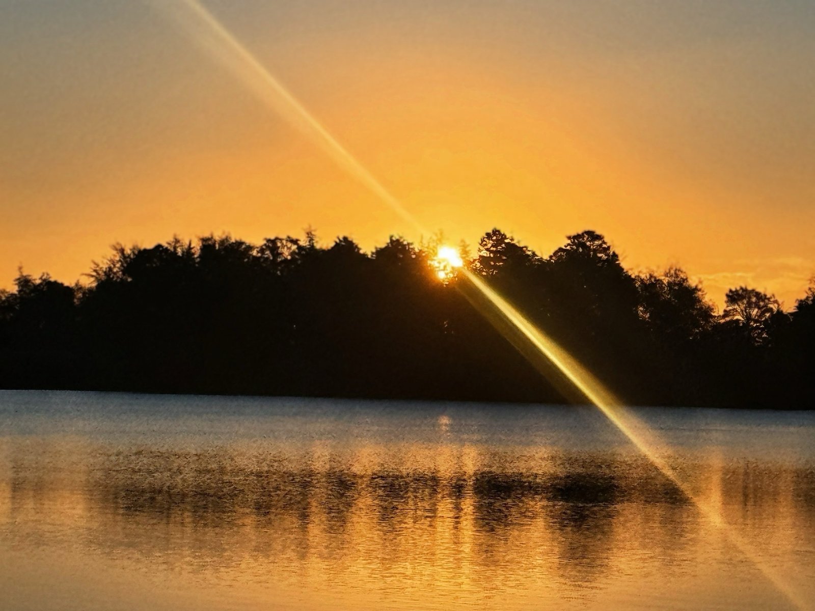 Sunset over South Toms River: the sun setting behind a dark line of trees, a long diagonal flare of light, and golden reflections across the still water